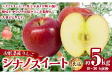 山形県産りんご シナノスイート 約5kg 秀品 ご家庭用 （18～20玉前後） くだもの フルーツ 旬 国産 山形県 白鷹町 【2025年10月下旬順次発送予定】