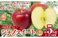山形県産りんご シナノスイート 約5kg 秀品 
