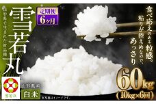 【6ヶ月定期便】【令和7年産新米】〈白米〉 雪若丸 10kg×6回 山形県産 精米 【2025年11月上旬発送開始予定】