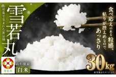 【令和7年産新米】〈白米〉 雪若丸 30kg ＜1回のお届け＞ 山形県産 精米 【2025年11月上旬発送開始予定】