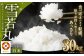 【令和7年産】〈白米〉 雪若丸 30kg ＜1回のお届け＞