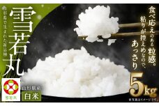 【令和7年産新米】〈白米〉 雪若丸 5kg ＜1回のお届け＞  山形県産 精米 【2025年11月上旬発送開始予定】