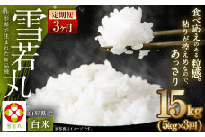 【3ヶ月定期便】【令和7年産新米】〈白米〉 雪若丸 5kg×3回 山形県産 (5kg袋小分け) 精米  【2025年11月上旬発送開始予定】