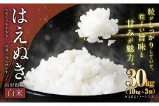 【令和7年産新米】〈白米〉はえぬき 30kg （10kg×3袋） ＜1回のお届け＞ 山形県産 新米 お米 【2025年11月上旬発送開始予定】