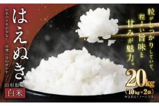 【令和7年産新米】〈白米〉はえぬき 20kg （10kg×2袋） ＜1回のお届け＞  山形県産 新米 お米 【2025年11月上旬発送開始予定】