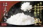 【令和7年産新米】〈白米〉はえぬき 20kg