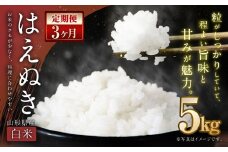 【3ヶ月定期便】【令和7年産新米】〈白米〉 はえぬき 5kg×3回 計15kg 山形県産 新米 お米 【2025年11月上旬発送開始予定】