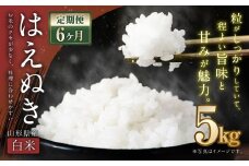 【6ヶ月定期便】【令和7年産新米】〈白米〉 はえぬき 5kg×6回 計30kg 山形県産 新米 お米 【2025年11月上旬発送開始予定】