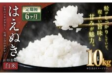 【6ヶ月定期便】【令和7年産新米】〈 白米 〉 はえぬき 10kg×6回 計60kg 山形県産 新米 お米 【2025年11月上旬発送開始予定】