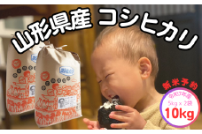 生産者の顔が見える米　コシヒカリ　白米 10kg（飯豊町産）【新米予約】(R7年産）