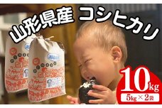 生産者の顔が見える米　コシヒカリ　白米 10kg（飯豊町産）(R7年産）