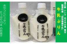 飯豊町産「放牧酪農牛乳」使用　牛乳ぷりん 10パック