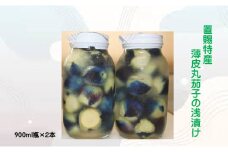 飯豊ばあちゃんの漬物 置賜特産 薄皮丸茄子の浅漬け