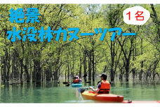 絶景 水没林カヌーツアー（1名様） 癒しの自然満喫アクティビティ【フォトジェニックスポット】
