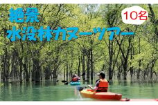 絶景 水没林カヌープレミアムツアー（10名様分）癒しの自然満喫プレミアムアクティビティ
