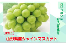 【訳あり】山形県産  シャインマスカット 約2kg 