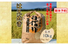 人気のブランド米　はえぬき　玄米 10kg（飯豊町産）【新米予約】(R7年産）【価格改定】