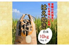 人気のブランド米 はえぬき 白米 10kg（飯豊町産）(R7年産）【価格改定】