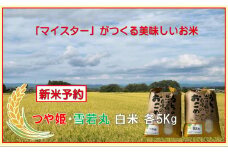 マイスターがつくる　つや姫・雪若丸 食べ比べセット（飯豊町産）【新米予約】(R7年産）