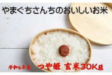 やまぐちさんちのおいしいお米　つや姫　玄米 30kg（飯豊町産）(R6年産）