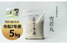 【令和7年産】至福の味わい、　幸せ米。「雪若丸」精米 5kg - 白米 米 ごはん 品種 銘柄 ブランド米 おすすめ 送料無料 山形県 飯豊町
