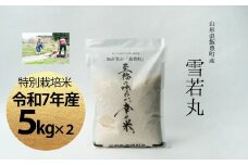 【令和7年産】至福の味わい、　幸せ米。「雪若丸」精米 5kg×2 - 白米 米 ごはん 品種 銘柄 ブランド米 おすすめ 送料無料 山形県 飯豊町