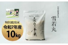 【令和7年産】至福の味わい、　幸せ米。「雪若丸」精米 10Kg - 白米 米 ごはん 品種 銘柄 ブランド米 おすすめ 送料無料 山形県 飯豊町