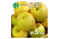 食の都庄内　庄内特産 和梨 約5kg※令和7年8月下旬頃～順次配送 