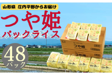 つや姫パックライス24P×2箱