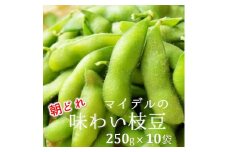道の駅マイデルの味わい枝豆（250g×10袋）※8月～9月配送