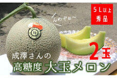 【令和7年産】成澤さんの厳選！【2玉入】高糖度大玉メロン 