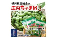 【3kg小分け12袋】横川枝豆組合の庄内ちゃまめ（250g×12袋）