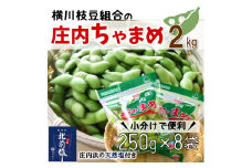 【2kg小分け8袋】横川枝豆組合の庄内ちゃまめ（250g×8袋）