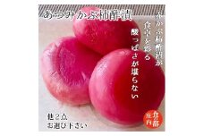 食の都庄内　【あつみかぶ柿酢漬】と季節の漬物セット
