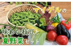 道の駅マイデルの味わい枝豆と夏野菜セット※7月中下旬頃より配送