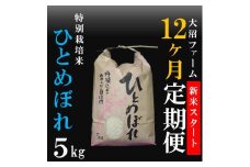 10月スタート【定期便12回】大沼ファームの特別栽培米ひとめぼれ5kg
