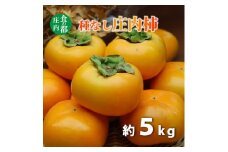 食の都庄内　種なし庄内柿約5kg　※令和7年10月下旬頃～順次配送