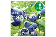 食の都庄内【令和7年産】庄内産冷凍ブルーベリー（バラ詰め約2kg）※令和7年8月頃より順次配送予定