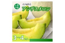 食の都庄内　プロの技！庄内砂丘アンデスメロン　※令和7年7月より順次配送