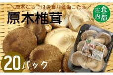 食の都庄内　原木しいたけ（まさに木の子）20パック