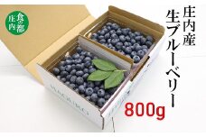 食の都庄内　【令和7年産】庄内の生ブルーベリー約800g※令和7年7月上旬～下旬頃発送予定