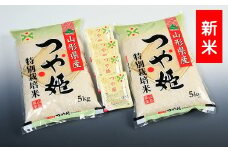 【令和7年産・精米】つや姫10kg+つや姫パックライス4P