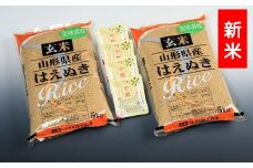 【令和7年産】玄米はえぬき10kg+つや姫パックライス4P