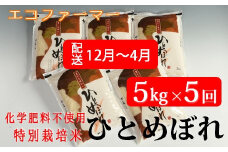 定期便5回【12月～4月】エコファーマーのひとめぼれ5kg×5回