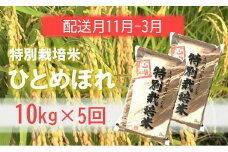 定期便5回【11月～3月】エコファーマーのひとめぼれ10kg×5回
