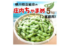 横川枝豆組合の「庄内ちゃまめ」5kg（ご家庭用）　※8月上旬頃より配送※枝豆　えだ豆　えだまめ　ちゃ豆