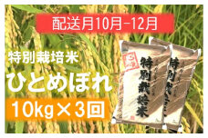 定期便3回【10月11月12月】エコファーマーのひとめぼれ10kg×3回