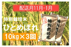 定期便3回【11月12月1月】エコファーマーのひとめぼれ10kg×3回