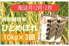 定期便3回【12月1月2月】エコファーマーのひとめぼれ10kg×3回