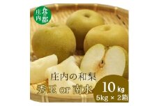食の都庄内　庄内の和梨【秀玉or南水】約10kg※9月中旬ごろより順次配送